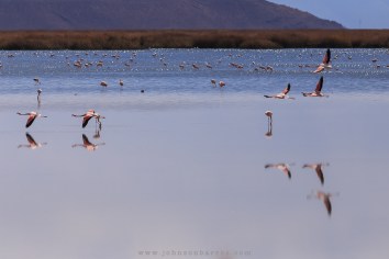 Formação rasante em espelho