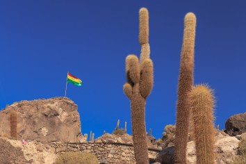 Não houve um dia que não víssemos a bandeira da Bolívia.