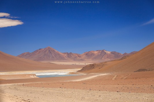 Obras de arte naturais pintam o Deserto de Dali