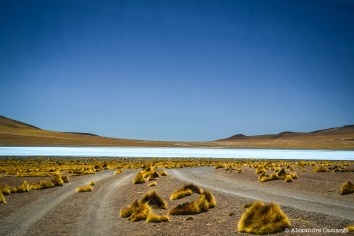 Chegando num Lago de Sal.